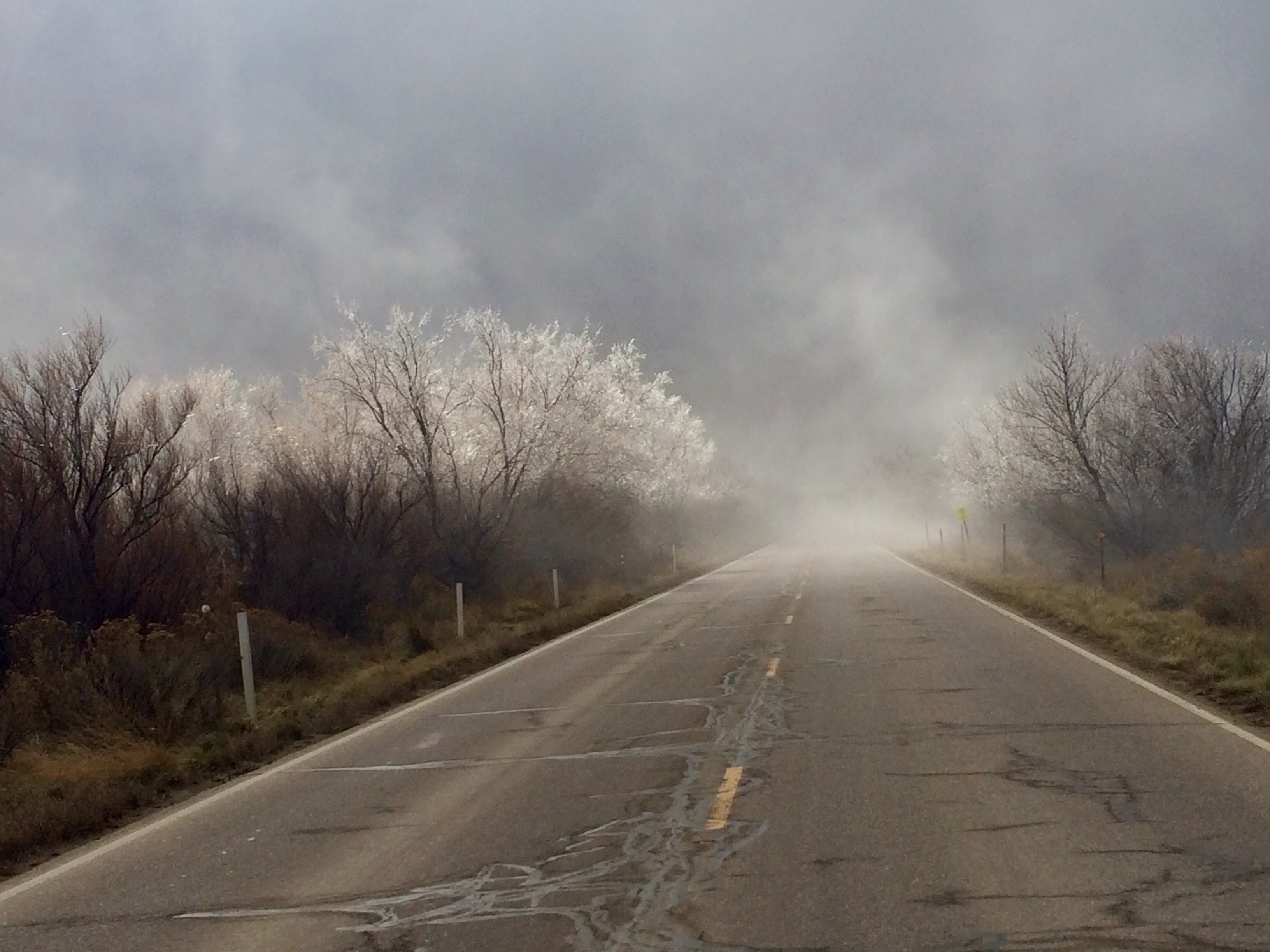 Jeremy Pefferkorn Lights of the Mist