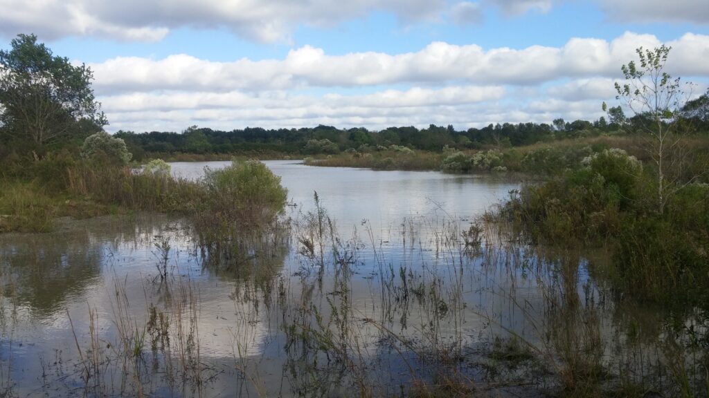 South Pecan Island Freshwater Introduction Project (ME23) Fenstermaker