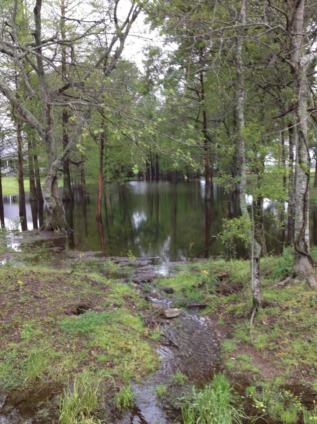 False River Watershed Study Fenstermaker